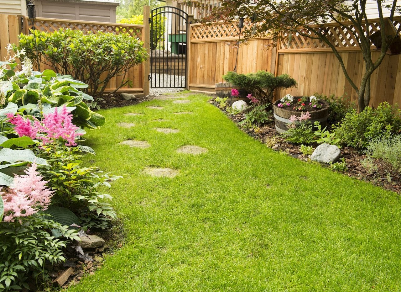 Residential landscaping in backyard